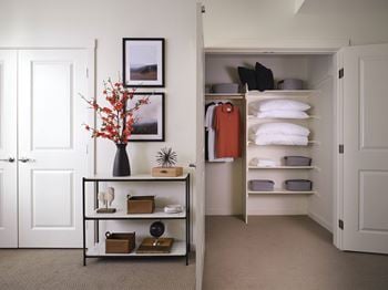 Oversized walk-in closets